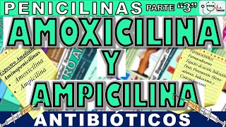 AMOXICILINA PARA QUE SIRVE ESTE MEDICAMENTO AMOXICILINA Y AMPICILINA  GuiaMed [upl. by Nuahsak]