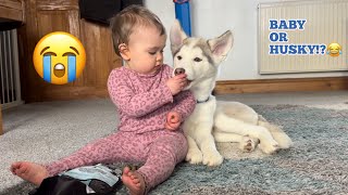 Baby SPEAKS To Her Husky Puppy For The First Time😭💖 [upl. by Irrac]