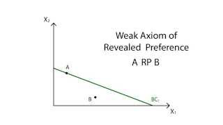 A14 Revealed preference  Consumption  Microeconomics [upl. by Nicholle]