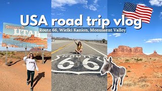 NASZ AMERYKAŃSKI ROAD TRIP Miasto opanowane przez osły i najpiękniejsze Parki Narodowe  USA VLOG [upl. by Ahouh896]