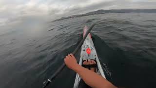 Surfski Paddling Wollongong 🌊 [upl. by Anyehs735]