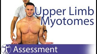 Myotomes Upper Limb  Peripheral Neurological Examination [upl. by Nema]