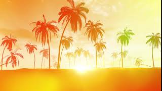 Background Video Summer Palm Trees Happy [upl. by Isador]