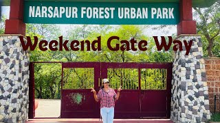 Narsapur Forest Urban Park near Hyderabad  One day short trip🤘🏻 [upl. by Furmark]