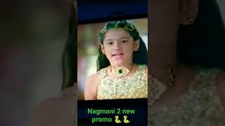 Ishq ki dastan nagmani 2 new promo 🐍🐍 bulbul aayi apne naagin roop me सबके सामने dangaltvshow [upl. by Aicnelav]