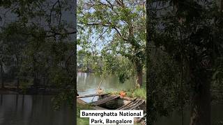 Bannerghatta national park  prices butterfly park boating rides Bannerghatta Safari [upl. by Enyamert499]