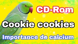 Comment apprendre les perroquets chantent Cookie Cookie I informations sur le calcium [upl. by Bergeron]