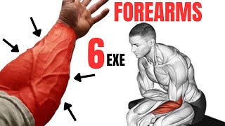 6 BEST FOREARMS EXERCISES AT GYM amp HOME  Extensor  Flexor  Brachioradialis [upl. by Mears]