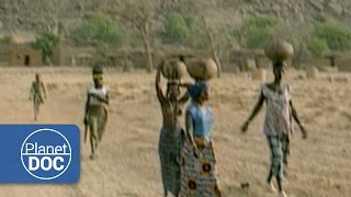 Dogon Tribe  Tribes amp Ethnic Groups  Planet Doc Full Documentaries [upl. by Anyehs]