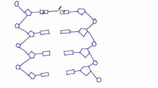 335 Draw a simple diagram of DNA structure [upl. by Nailluj754]