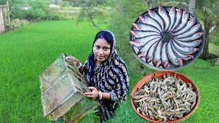 মাঠ থেকে চিংড়িমাছ ধরে কচুর লতি দিয়ে রান্না করলাম সাথে সরষে পাবদা রেসিপি  fish curry recipe [upl. by Della507]