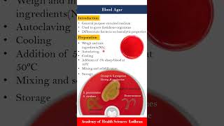 Blood Agar Enriched and differential media [upl. by Jammie368]