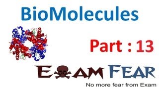 Chemistry Biomolecules part 13 Carbohydrates importance amp numerical CBSE class 12 XII [upl. by Rue786]