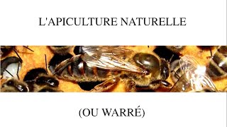 Lapiculture en warré [upl. by Butterfield]