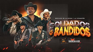 Novillos De La Sierra La Expansión  Soldados o Bandidos Video Oficial [upl. by Ardnosak]