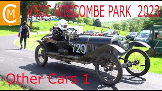 VSCC Wiscombe Park 2023 Other Cars 1 [upl. by Aniras]