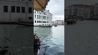 Gondolas in beautiful grand canal in Venice venice gondola italy travel [upl. by Onileva]