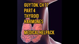 Regulation of thyroid harmones guyton ch 77 part 4 physiology [upl. by Damha820]