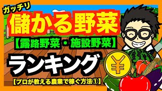 【儲かる野菜】新規就農者必見！！農林水産省がまとめた１反の収益が高い農作物ランキングを発表！！【アニメでわかる家庭菜園・農業解説】 [upl. by Benioff]