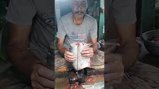 3 কেজি ওজনের চিতল মাছ কেটে শুধু পেটি দিলো yutubeshorts fishcutting fish fishingmarket [upl. by Adran]