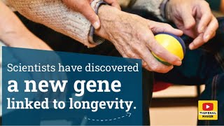 Scientists have discovered a new gene linked to longevity [upl. by Sherlocke]