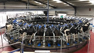 40 Point DeLaval Rotary Milking Parlour [upl. by Eceinart275]