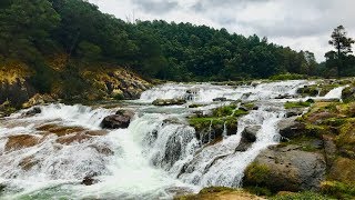 Pykara Falls  a waterfall in Ooty Tamil Nadu India [upl. by Hime]