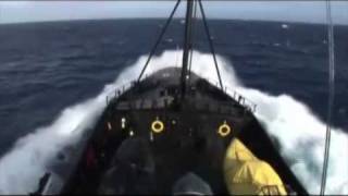 Operation Migaloo  200708  Sea Shepherd Whale Defense [upl. by Hunter]