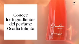 ¿Ya conoces el nuevo perfume Osadía Infinita ⚡  Yanbal [upl. by Asil]