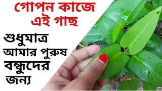 অবহেলায় পড়ে থাকা অত্যন্ত মূল্যবান এই কলমি গাছ মাত্র তিন চামচ রস খেলেই জীবন বদলে যাবেhealth tips [upl. by Fabiola]