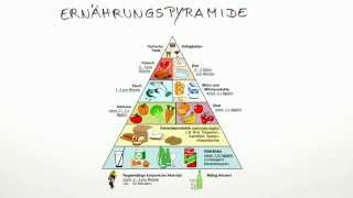 Was ist die Ernährungspyramide  Biologie  Mensch [upl. by Aremat]