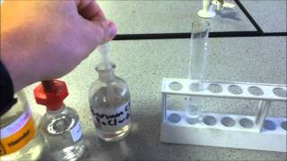 Test for Sulfate ions [upl. by Wiener]