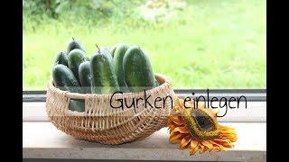 Gurken milchsauer einlegen  fermentieren [upl. by Fanya606]