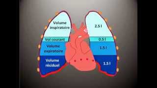 Kinésithérapie Respiratoire 3  Les Volumes Pulmonaires [upl. by Rellim87]