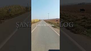 Şanlıurfa vlog  Tatil günlükleri 1 keşfet keşfetbeniöneçıkar vlog shorts şanlıurfa [upl. by Meisel]