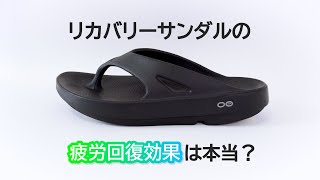 【OOFOS】普通のサンダルと何が違う？リカバリーサンダルをビーサン、スニーカーと比較レビュー [upl. by Nicholson]