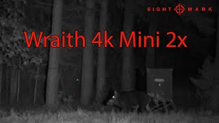 Sightmark Wraith 4k mini 2x  Sniper Hog Light 66LRX [upl. by Tav635]