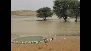 Kgalagadi  Day 12  22 March 2024  Part 2 [upl. by Olivann]