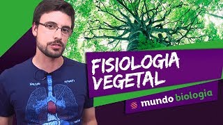 🌿 Botânica 45 Fisiologia Vegetal  Biologia  ENEM [upl. by Gainer635]