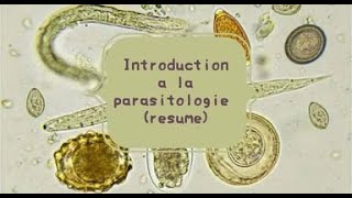 LA PARASITOLOGIE 🦐 EN RÉSUMÉ 1  introduction [upl. by Morrill]