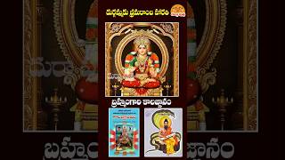 దుర్గమ్మకు శ్రీశైల బ్రమరాంబ హారతి kalagnanam veerabrahmendraswamy maadurga srisailabramarabadevi [upl. by Paderna]