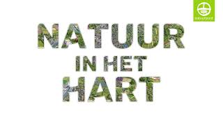 Natuur in het hart Vlaanderen in 2050 [upl. by Lleynad238]