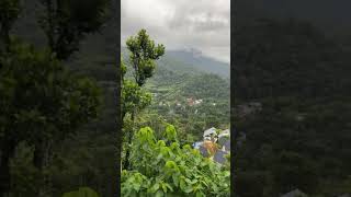 Pleasant Weather In Munnar Of Kerala 👌rainyseason in Munnar shorts youtubeshorts viralvideo [upl. by Grantham]