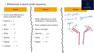 Isotype Allotype and Idiotype [upl. by Enirehs]