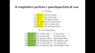 Il congiuntivo perfetto e piuccheperfetto di sum  Pillole di Latino [upl. by Adlare674]