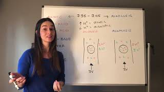 Introduction to Acidbase Imbalance [upl. by Shelburne]