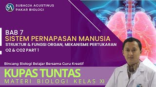 Bab 7 Sistem Pernapasan Pada Manusia  Struktur amp Fungsi Organ Mekanisme Pertukaran O2 amp CO2 Part 1 [upl. by Paresh]