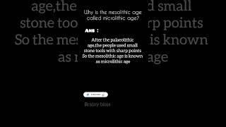 Why is the mesolithic age is called microlithic age class8 8thsocial 8thclassocial brainybites [upl. by Atinuaj]