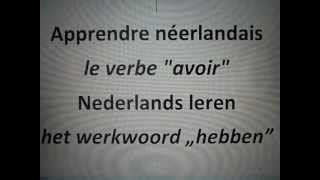 Apprendre le néerlandais  le verbe quotavoirquot [upl. by Heti]