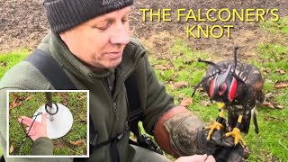 FALCONER’S KNOT how to tie [upl. by Erreid811]